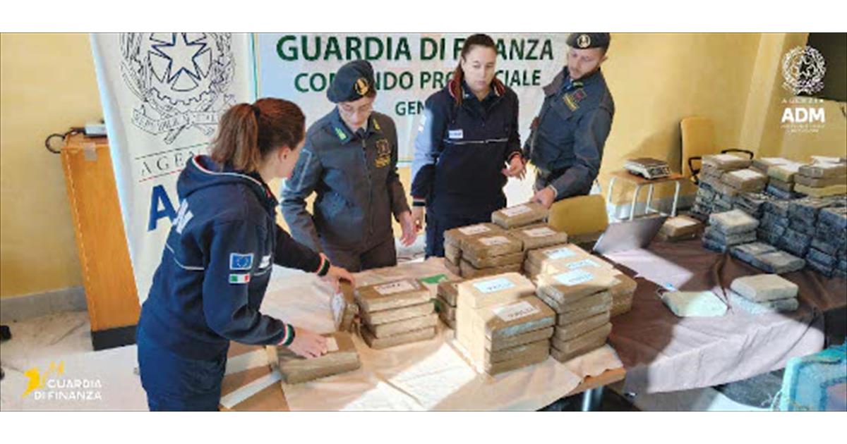 Over two tons of cocaine seized in the port of Genoa